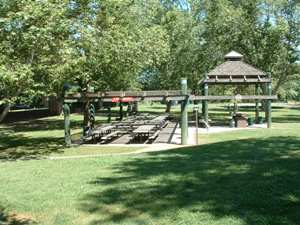 Sycamore Picnic area in Discovery Park
