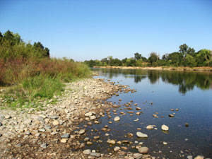 A wide, slow-moving river with a rocky shoreline under a clear blue sky, with lush green and red vegetation along the riverbank.