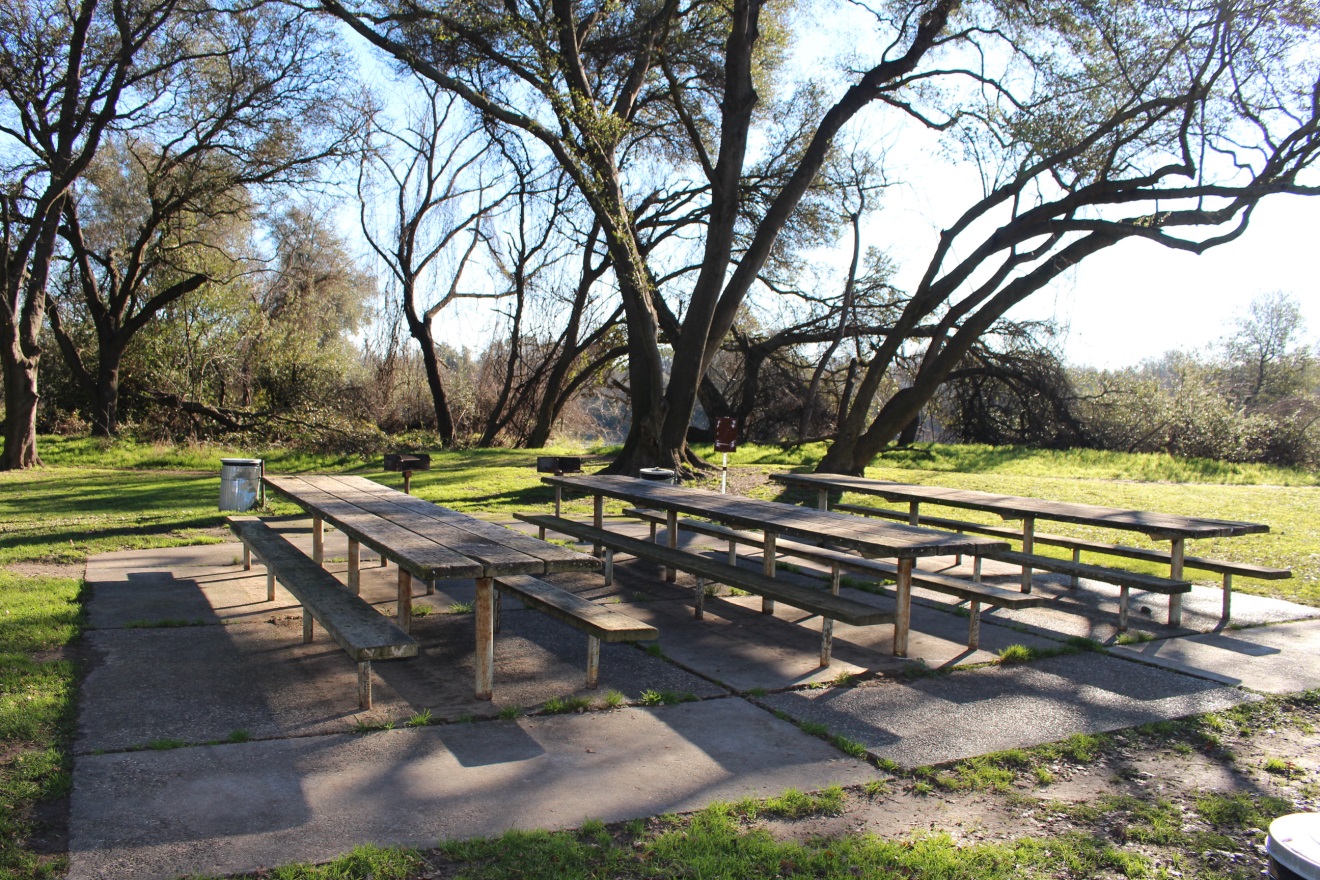 Riverside Picnic area in Ancil Hoffman Park