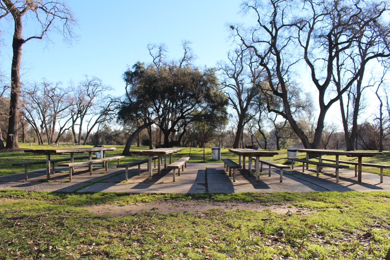 Valley Oak Picnic area in Ancil Hoffman Park