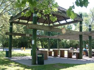 Alder Picnic area in Discovery Park