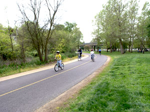 People riding bicycles on a paved path curving through a park, with trees lining both sides and a grassy area along the right.