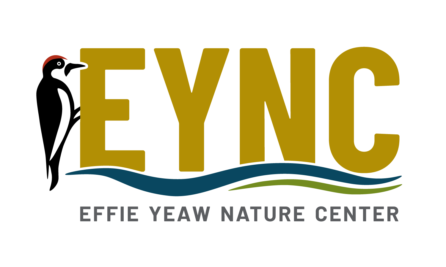 Logo for Effie Yeaw Nature Center, featuring "EYNC" in mustard-yellow letters, a black and white woodpecker perched on the left, blue and green waves below the letters, and the full name of the center in gray text beneath.