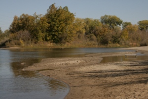 Sandy riverbank meeting calm water, with a small bench on the shore and autumnal trees in the background under a sunny sky.