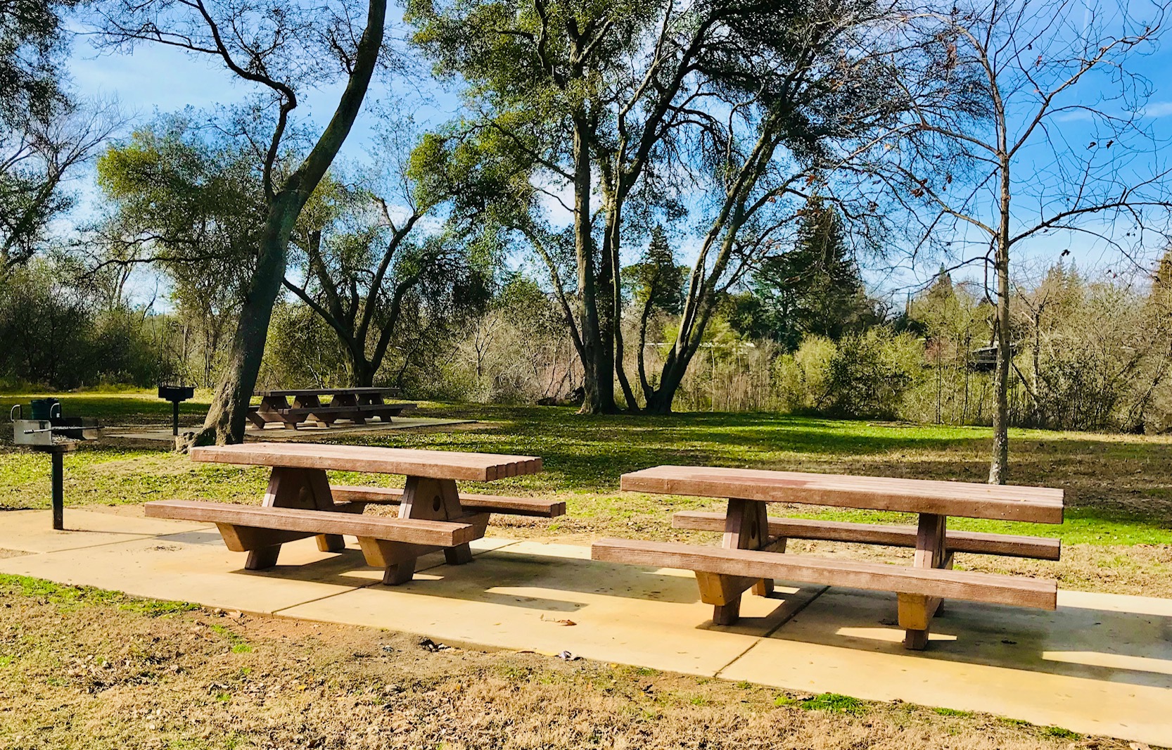 Eppie's Grove A Picnic Area in River Bend Park