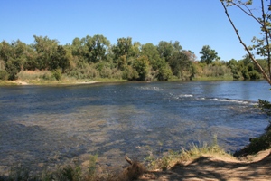 Wide river with clear water flowing from left to right, revealing a rocky riverbed, bordered by lush green trees and a cloudless blue sky.