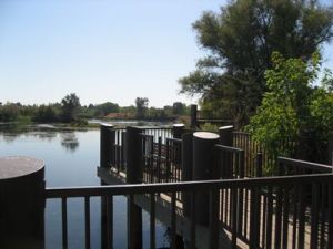 A wooden viewing platform with a railing overlooking a calm, reflective river surrounded by trees and shrubs under a clear, sunny sky.