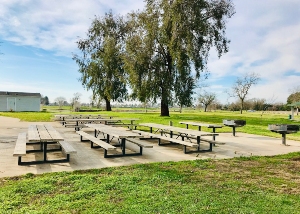 2D Picnic Area in Gibson Ranch Regional Park