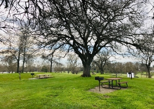 3A Picnic Area in Gibson Ranch Regional Park