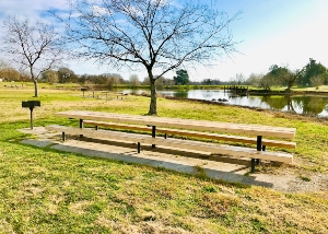 L3 Picnic Area in Gibson Ranch Regional Park