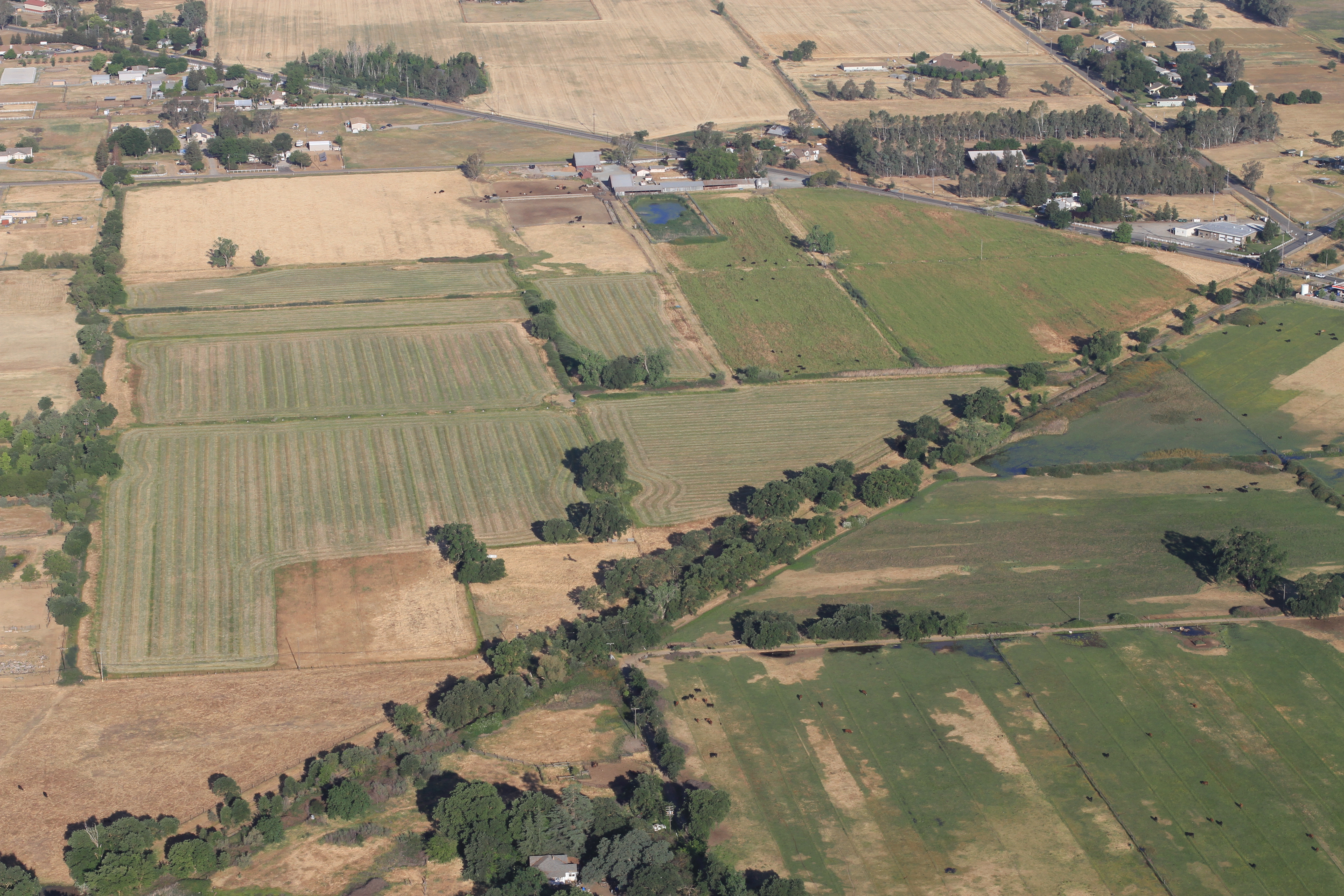 Aerial view of Dillard Ranch