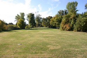 Open picnic area at Hogback Island