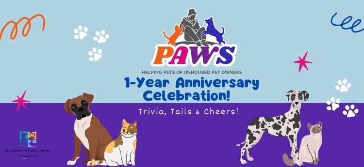 PAWS Helping Pets of Unhoused Per Owners, 1 year Anniversary Celebration! Trivia, Tails & Cheers!
