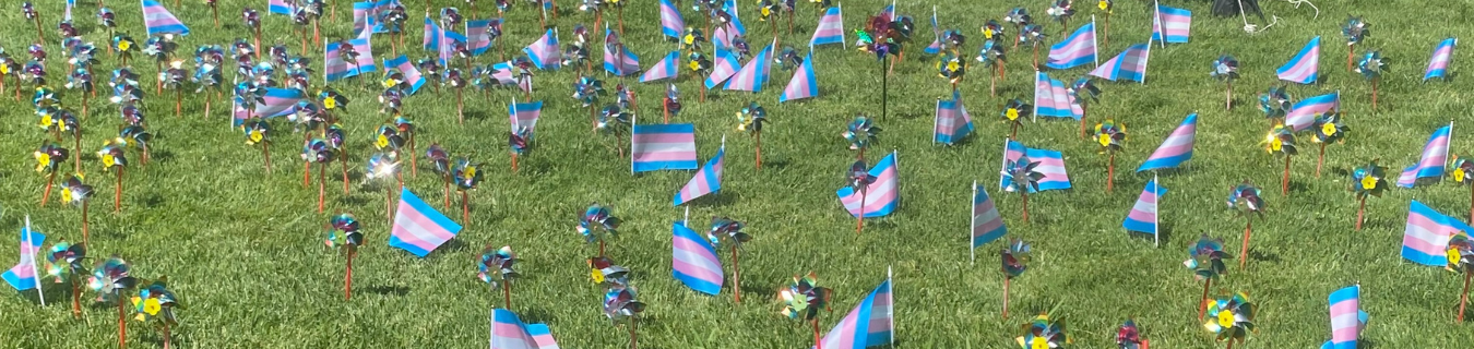 Pinwheel Planting Supports LGBTQ+ Foster Youth 