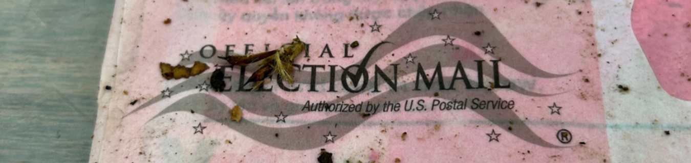 Recovered stolen Voting Ballot