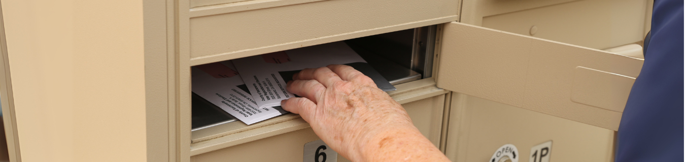 Mail in Ballots