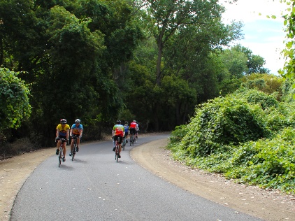 American River Trail with people riding bicycles