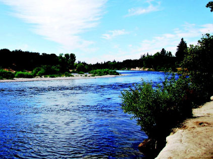 Sacramento River